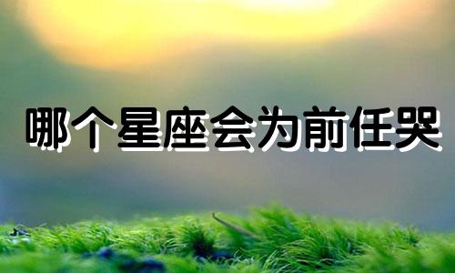哪个星座会为前任哭