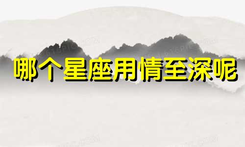 哪个星座用情至深呢
