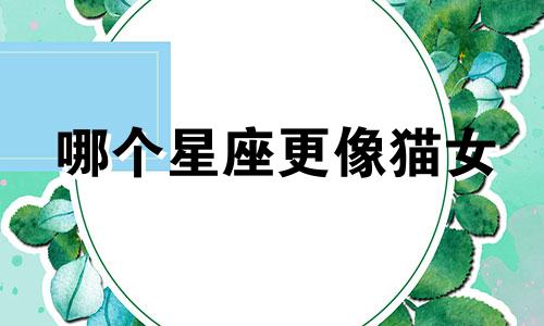 哪个星座更像猫女