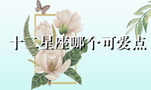 十二星座哪个可爱点