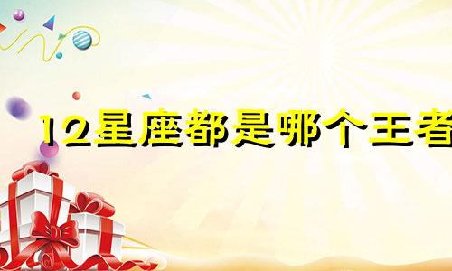 12星座都是哪个王者