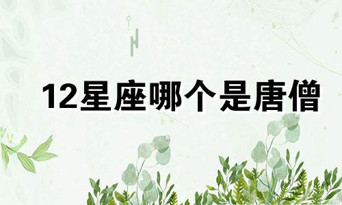 12星座哪个是唐僧