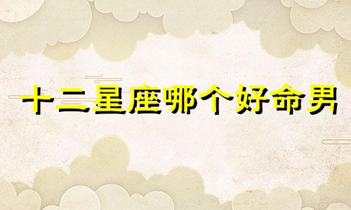 十二星座哪个好命男