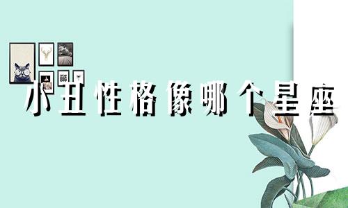 小丑性格像哪个星座