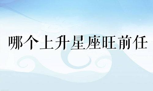 哪个上升星座旺前任