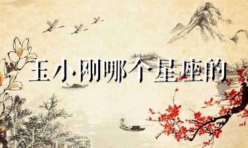 玉小刚哪个星座的