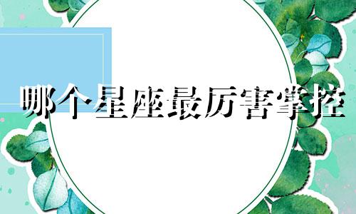 哪个星座最厉害掌控