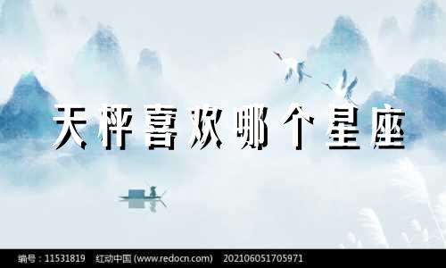 天枰喜欢哪个星座