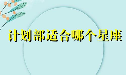计划部适合哪个星座
