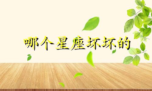 哪个星座坏坏的