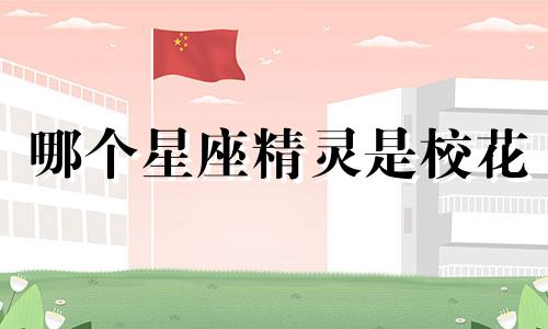 哪个星座精灵是校花