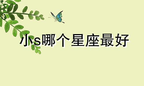 小s哪个星座最好