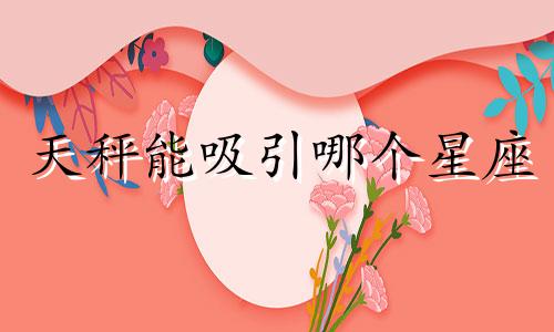 天秤能吸引哪个星座