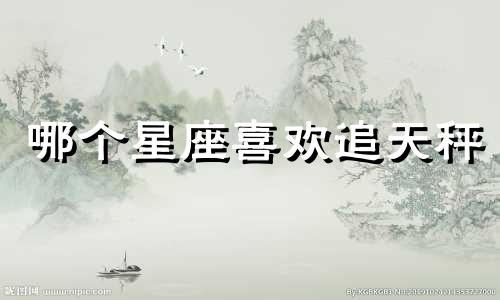 哪个星座喜欢追天秤