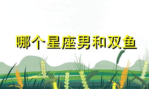 哪个星座男和双鱼