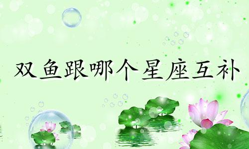 双鱼跟哪个星座互补
