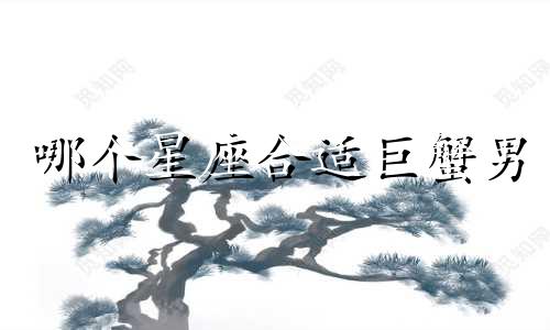 哪个星座合适巨蟹男