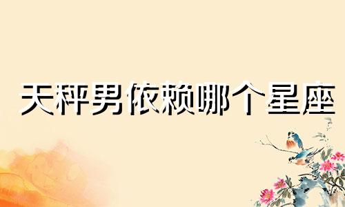 天秤男依赖哪个星座