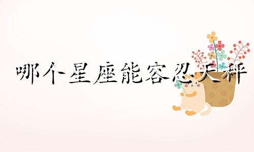 哪个星座能容忍天秤