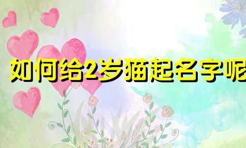 如何给2岁猫起名字呢