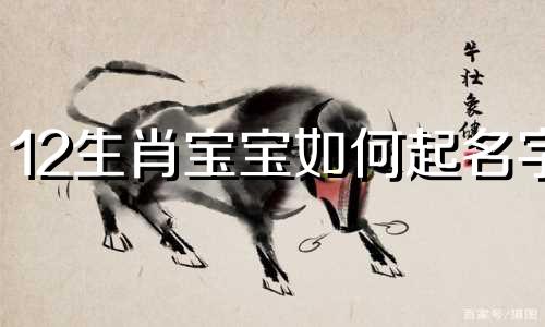 12生肖宝宝如何起名字