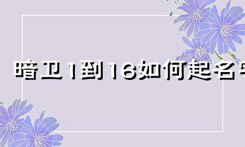 暗卫1到16如何起名字