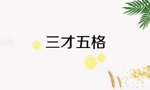三才五格 起名如何评分