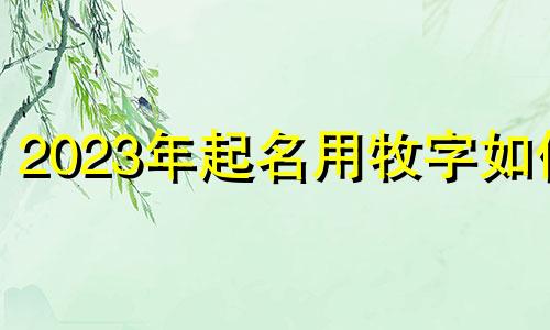2023年起名用牧字如何