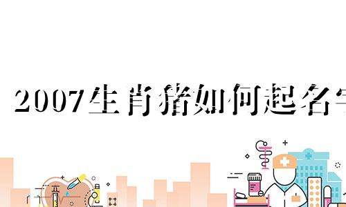 2007生肖猪如何起名字