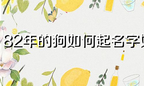 82年的狗如何起名字好