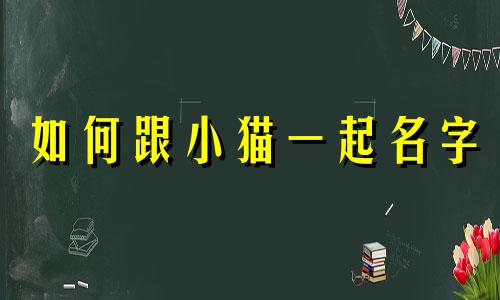 如何跟小猫一起名字