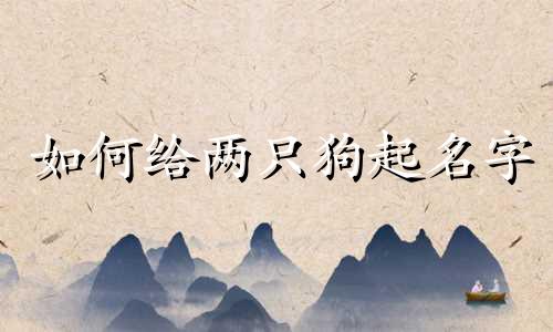 如何给两只狗起名字