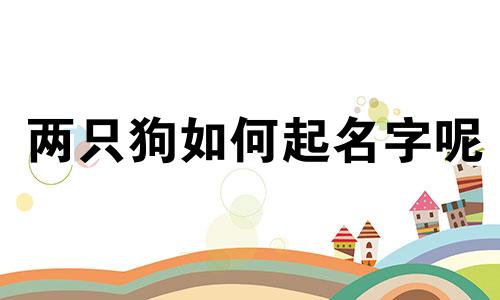 两只狗如何起名字呢