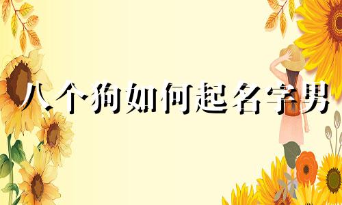 八个狗如何起名字男