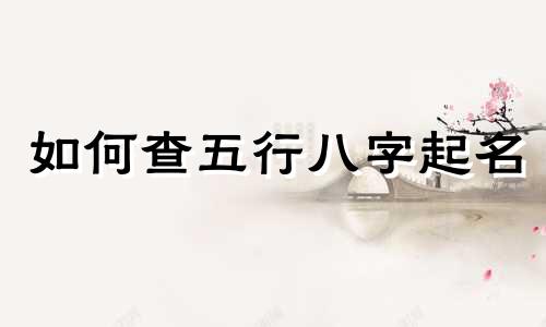如何查五行八字起名