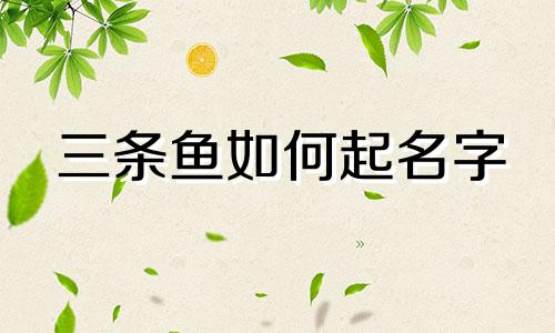 三条鱼如何起名字