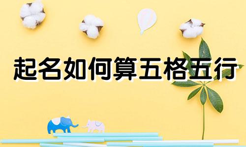 起名如何算五格五行