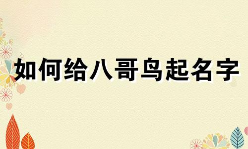 如何给八哥鸟起名字