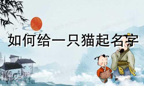如何给一只猫起名字