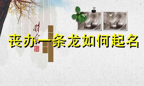 丧办一条龙如何起名