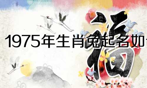 1975年生肖兔起名如何