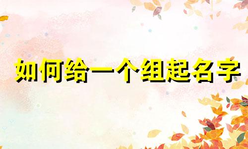 如何给一个组起名字