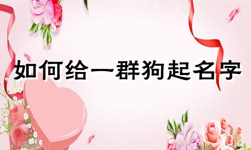 如何给一群狗起名字