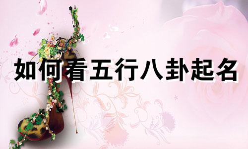 如何看五行八卦起名