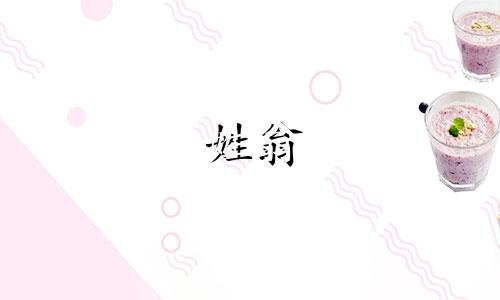 姓翁 兴字辈如何起名字