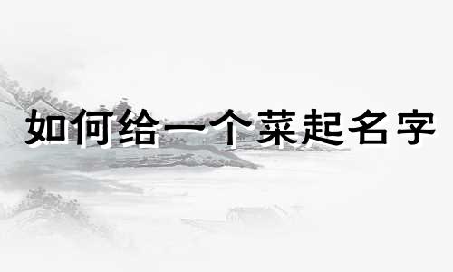 如何给一个菜起名字