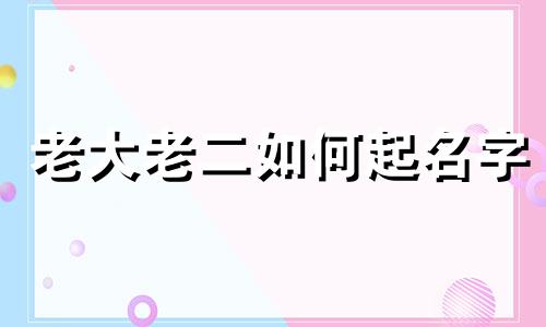 老大老二如何起名字