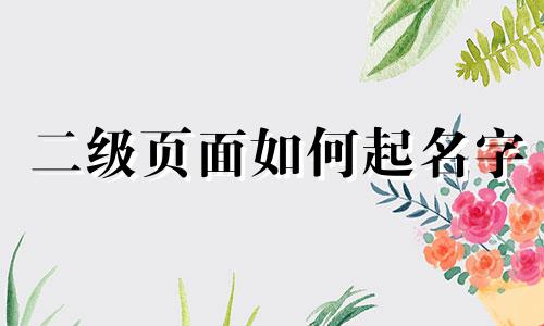 二级页面如何起名字