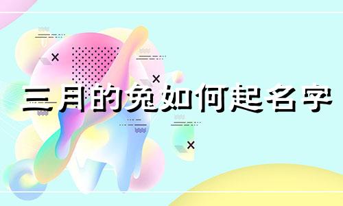 三月的兔如何起名字