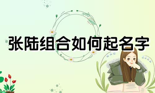 张陆组合如何起名字